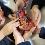 Univesità Medicina_corpo umano-WA0067