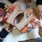 Univesità Medicina_corpo umano-WA0068